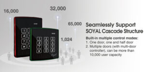Seamless Support SOYAL Cascade Structure